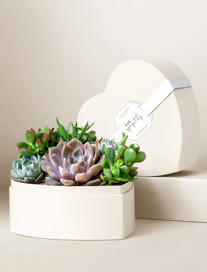 Heart Garden