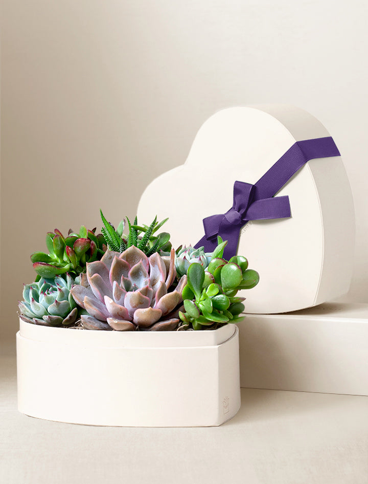 Mother's Day Heart Garden
