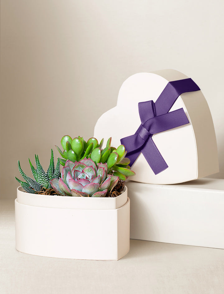 Mother's Day Heart Garden