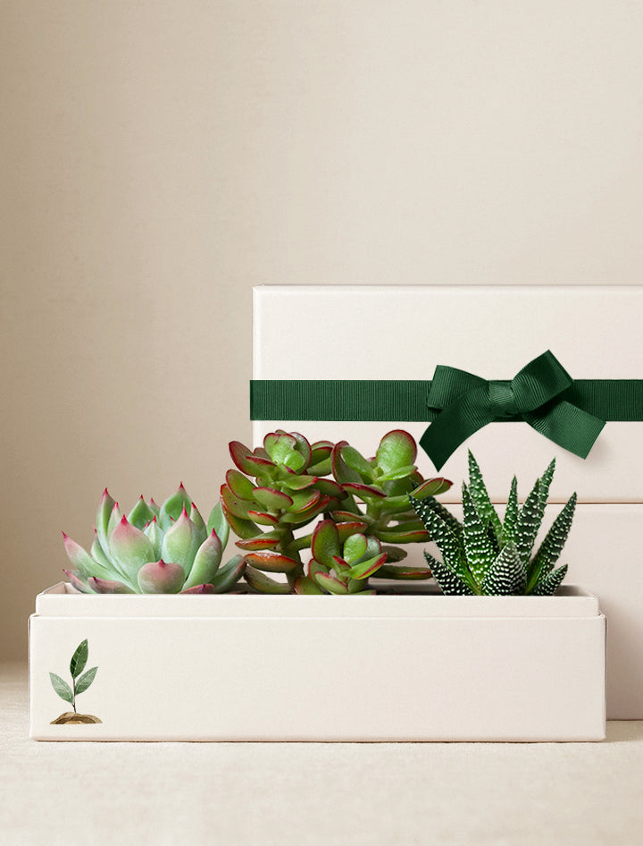Earth Day Jewel Garden