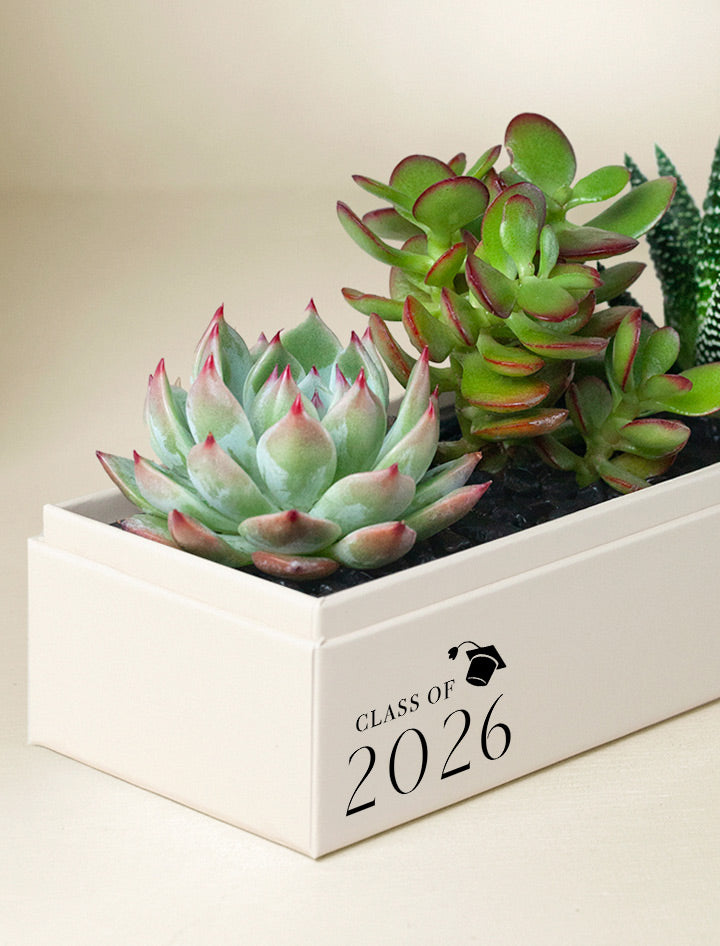 Graduation Jewel Garden