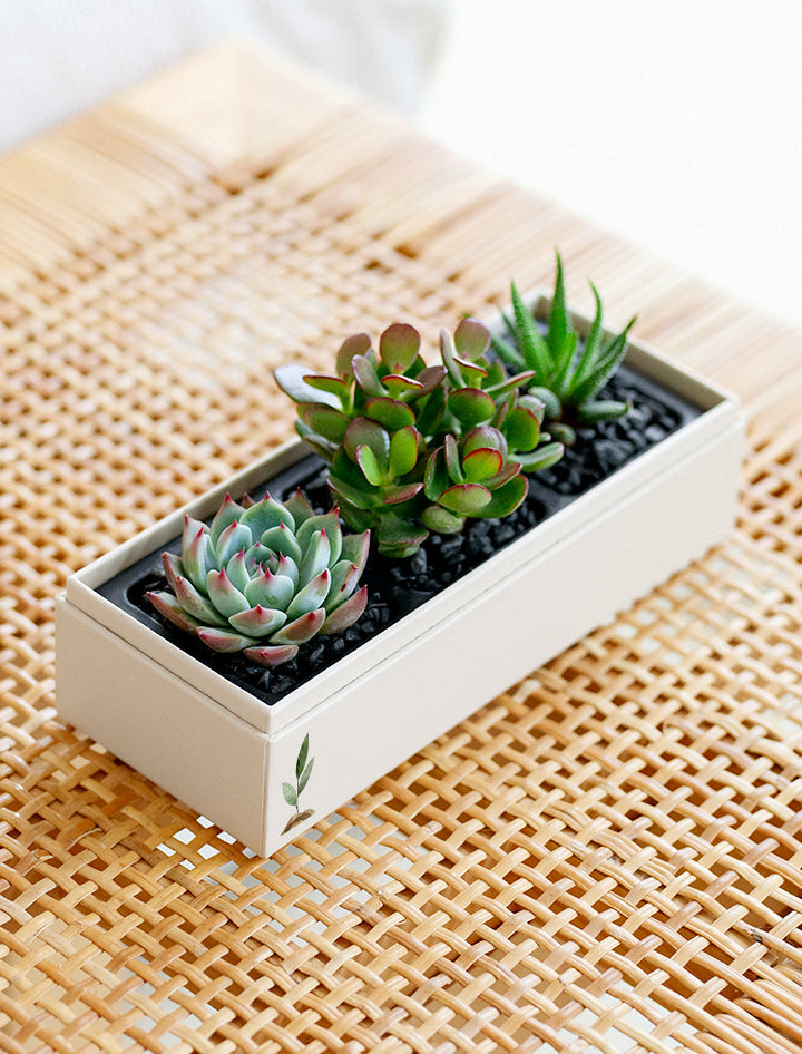 Earth Day Jewel Garden