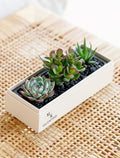 Custom Design Jewel Garden