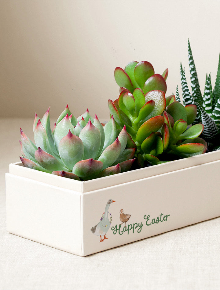 Easter Jewel Garden