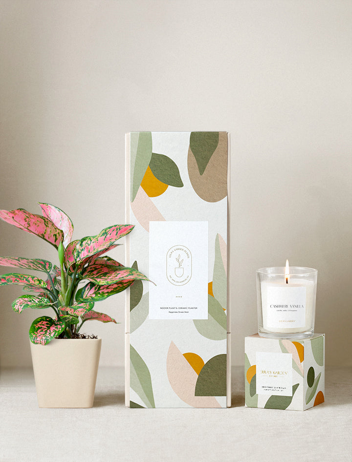 Lula's Garden Plant Gift Set