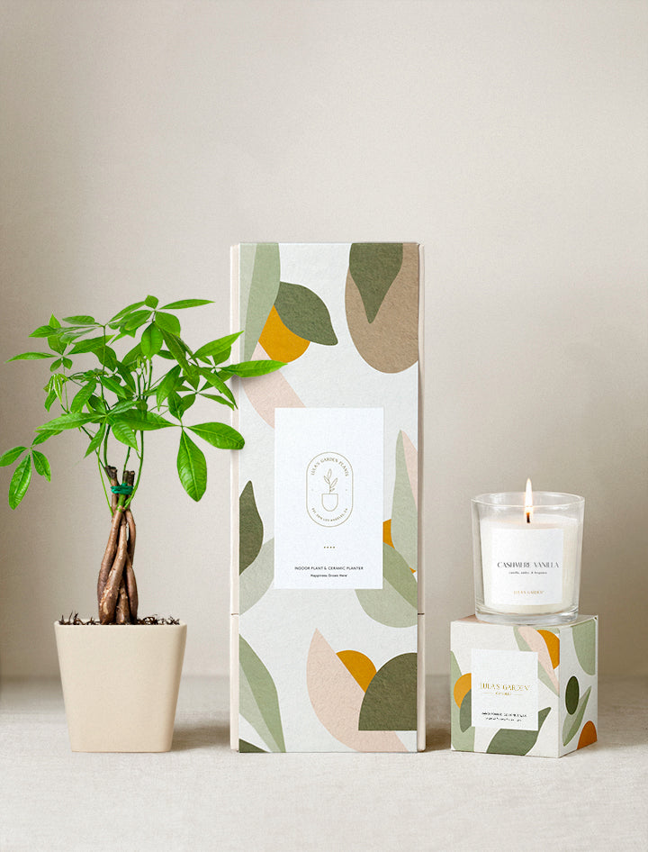 Lula's Garden Plant Gift Set