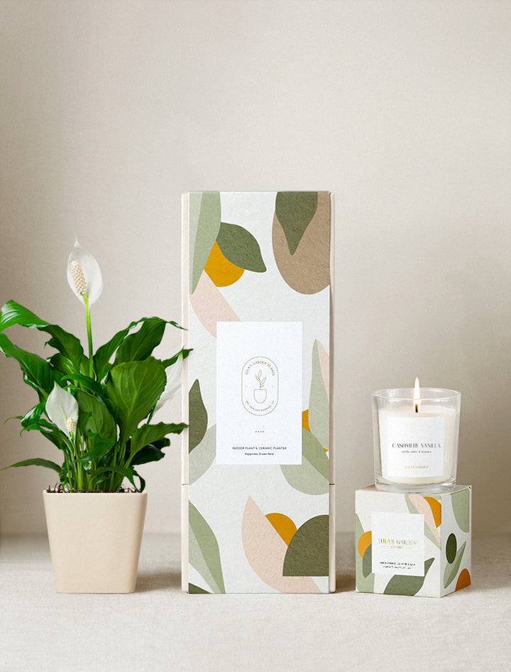 Lula's Garden Plant Gift Set