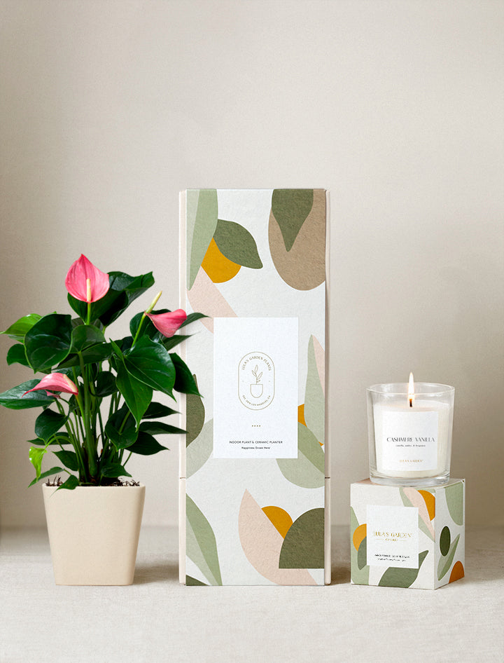 Lula's Garden Plant Gift Set