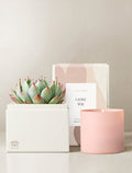 Love Bliss Garden & Candle