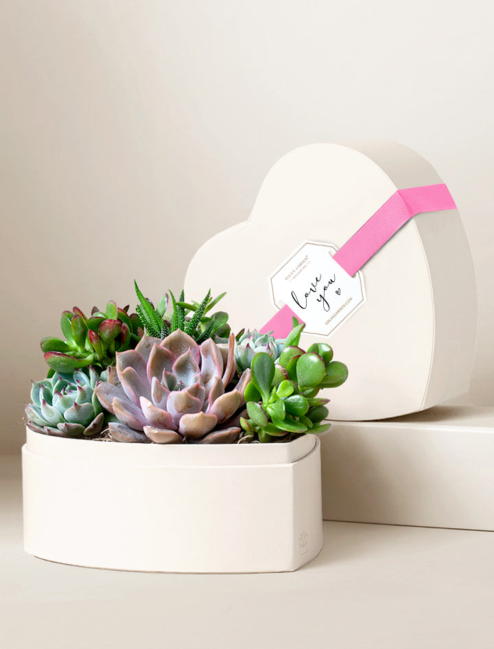 Heart Garden