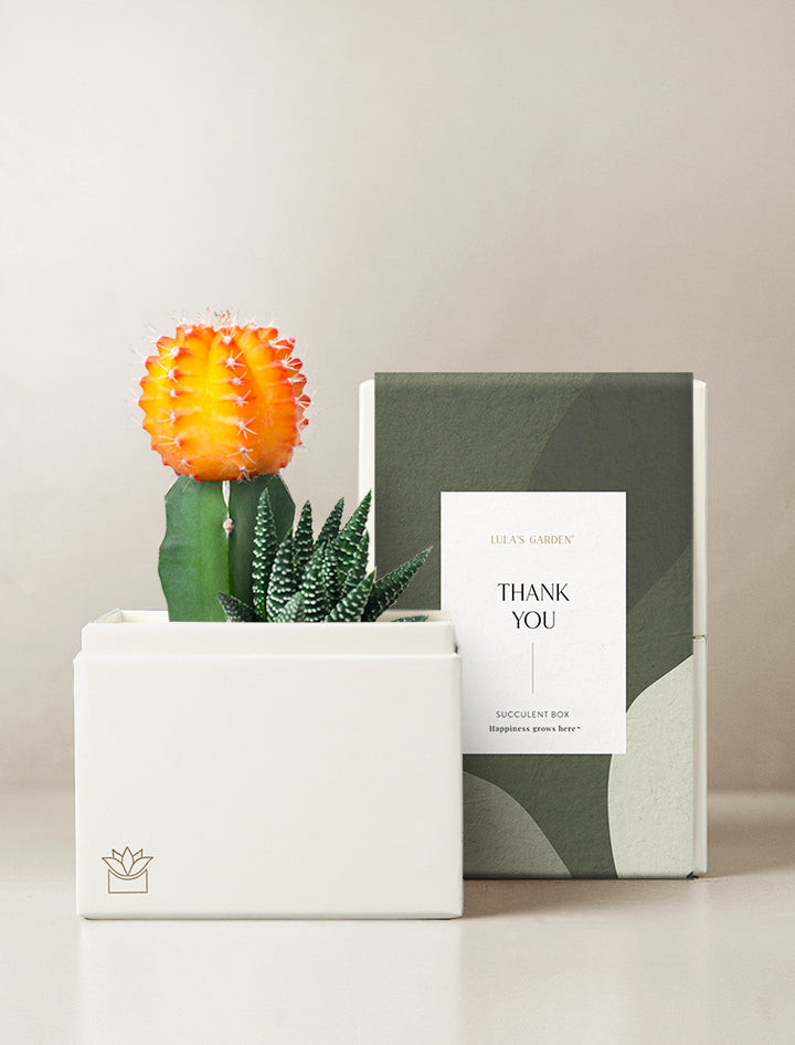 Lux Garden