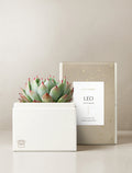 Leo Garden