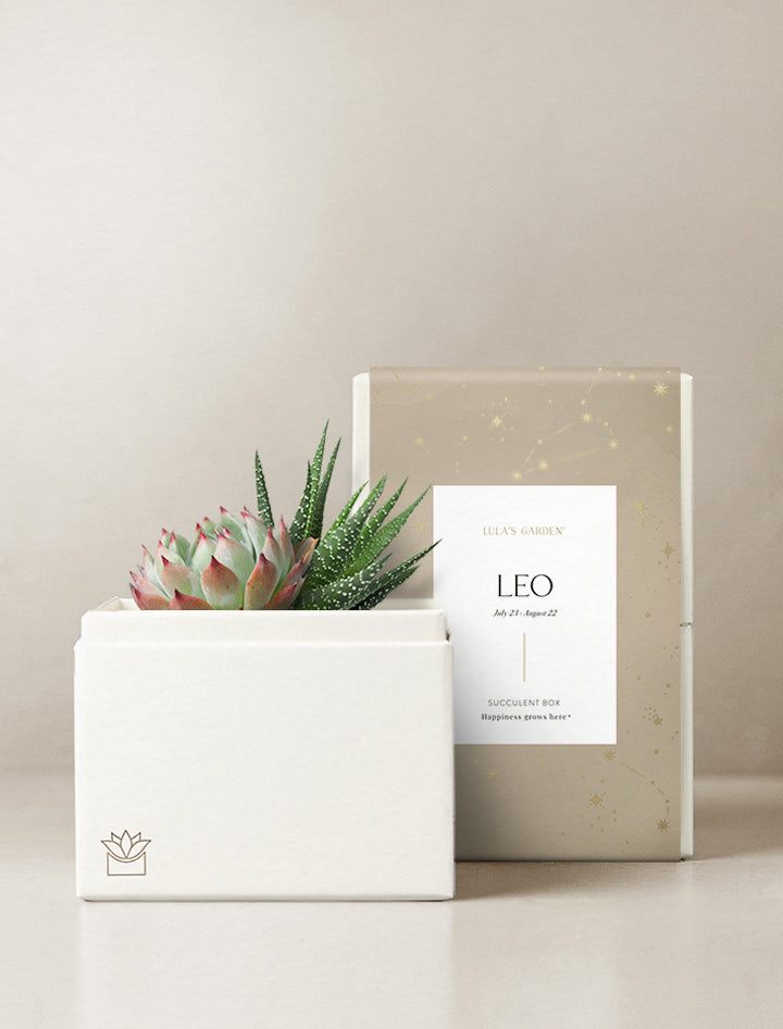 Leo Garden