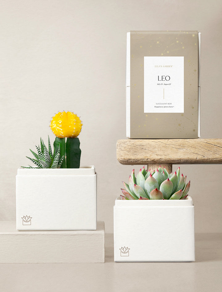 Leo Garden