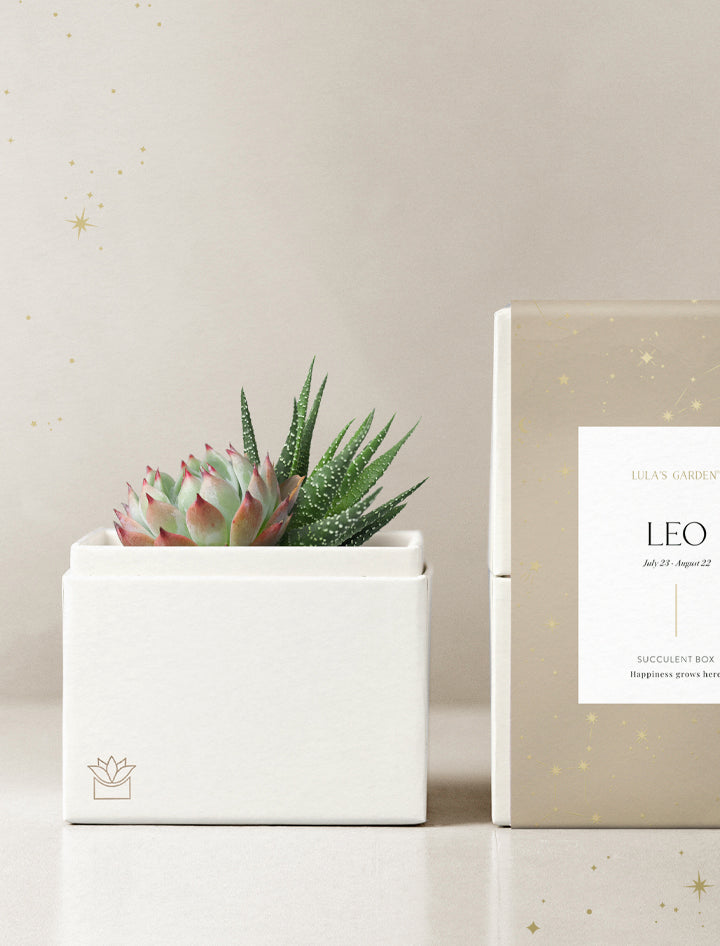 Leo Garden