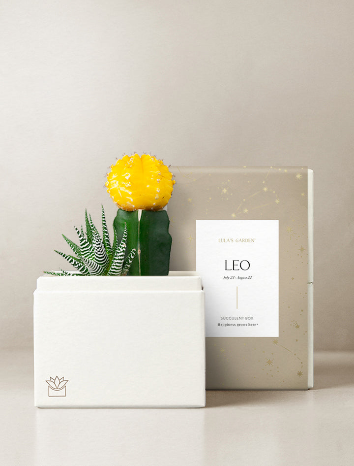 Leo Garden