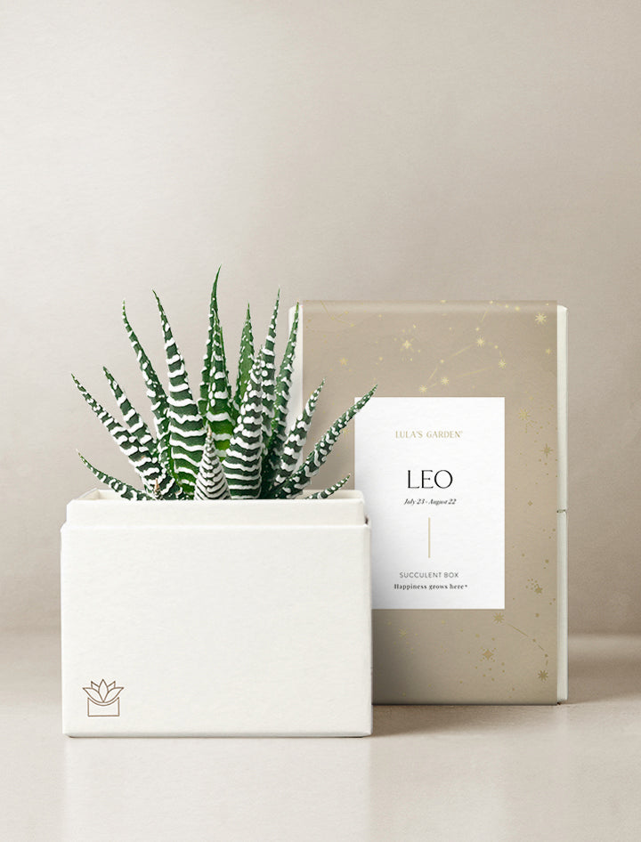 Leo Garden