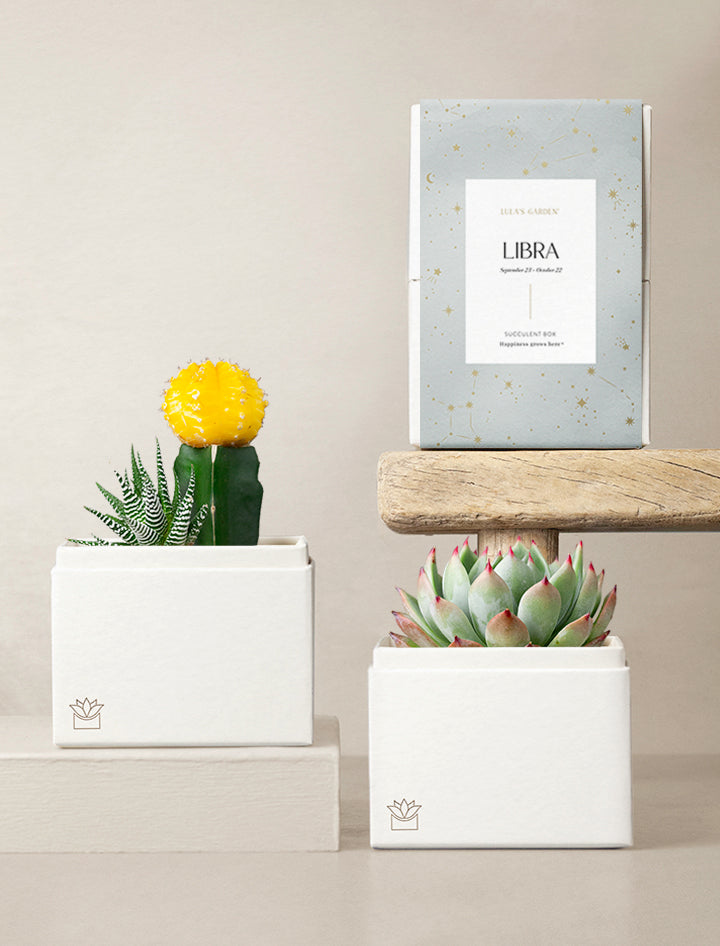 Libra Garden
