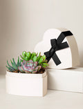 Small Heart Garden