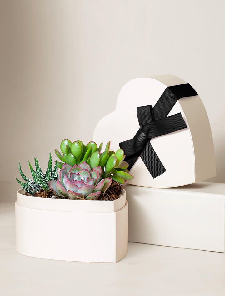 Small Heart Garden
