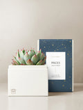 Pisces Garden