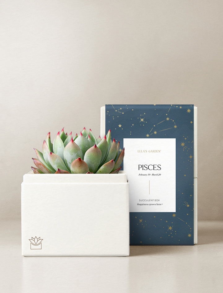 Pisces Garden