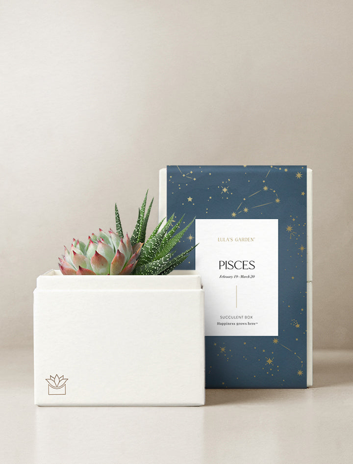 Pisces Garden