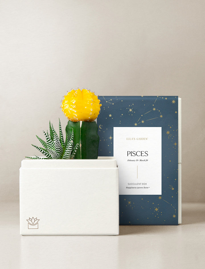 Pisces Garden