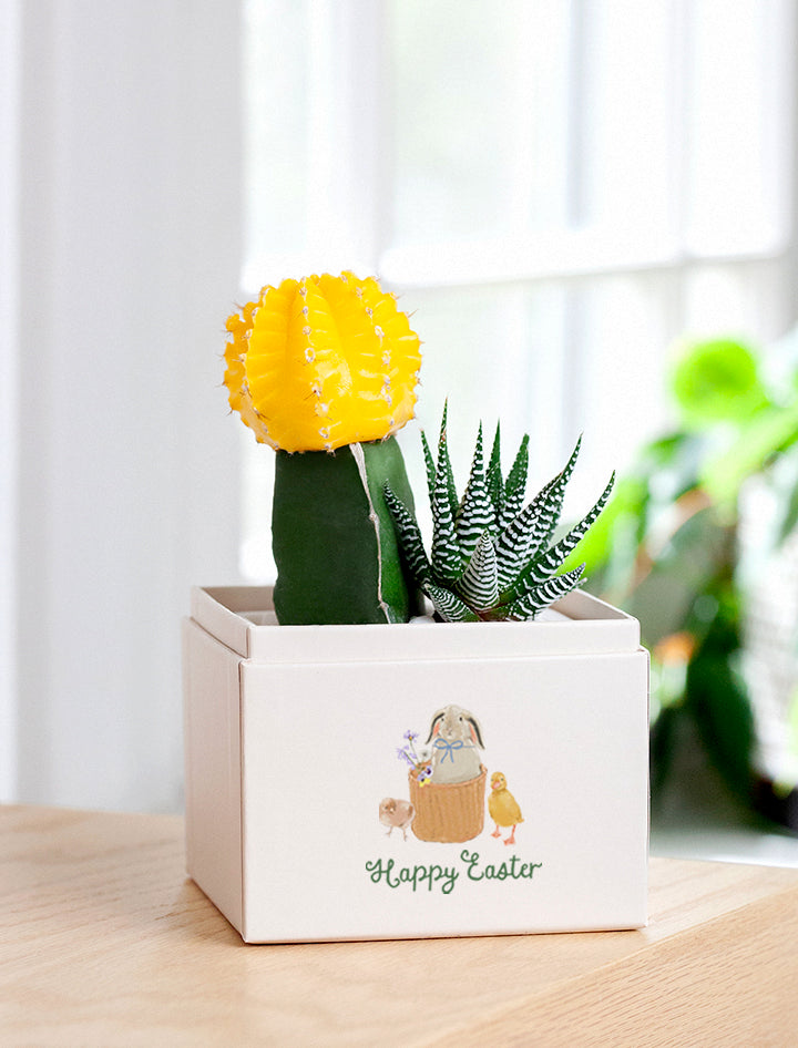 Easter Ray Garden