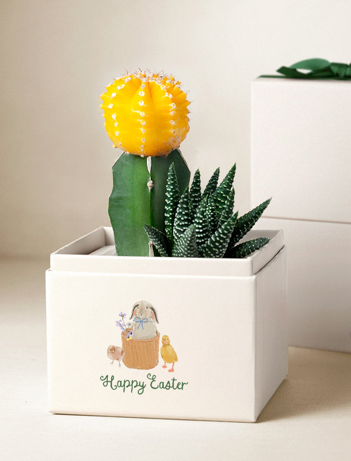 Easter Ray Garden