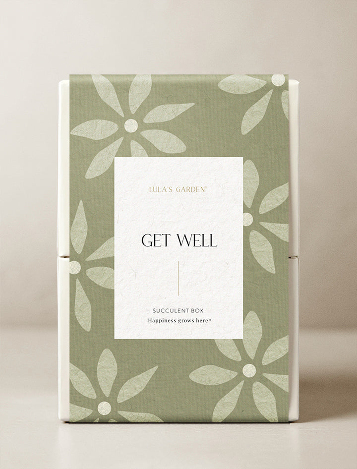 Get Well Ray Garden