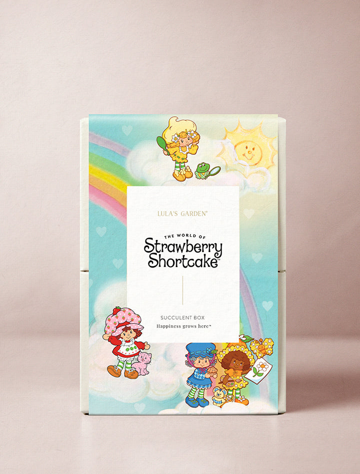 Strawberry Shortcake & Friends Garden