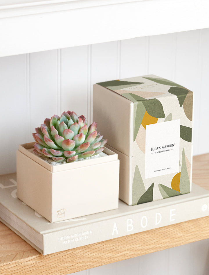 Lula's Garden Bliss Garden Gift Set