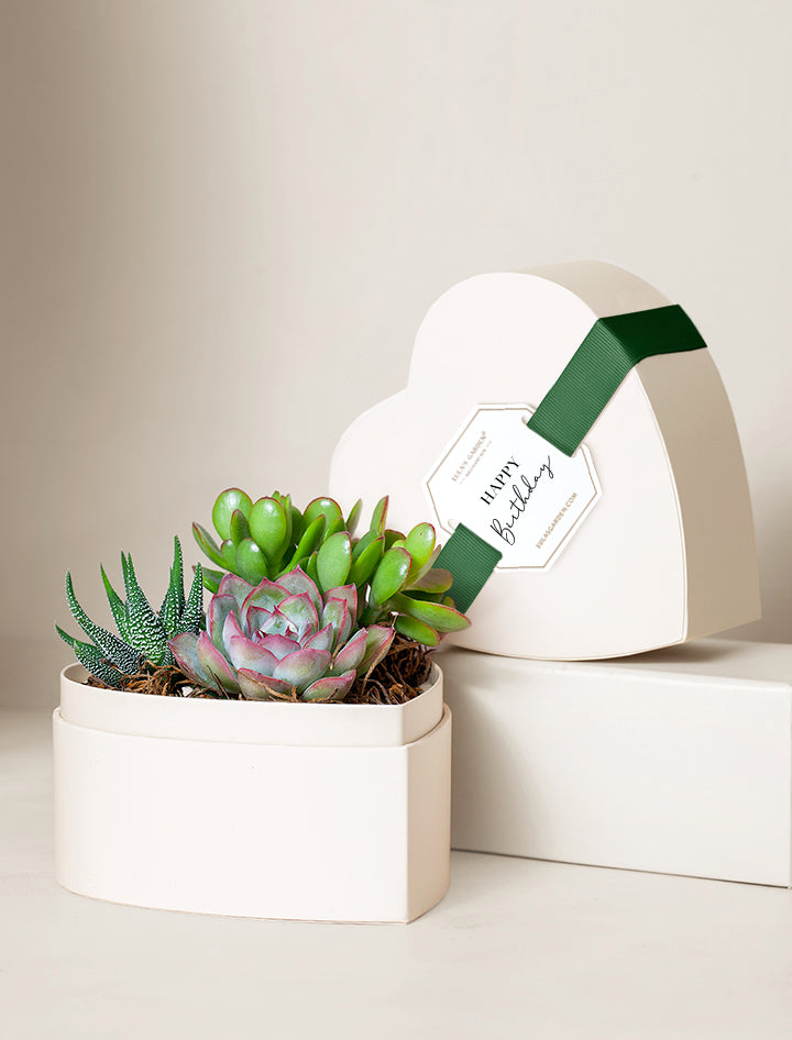 Small Heart Garden