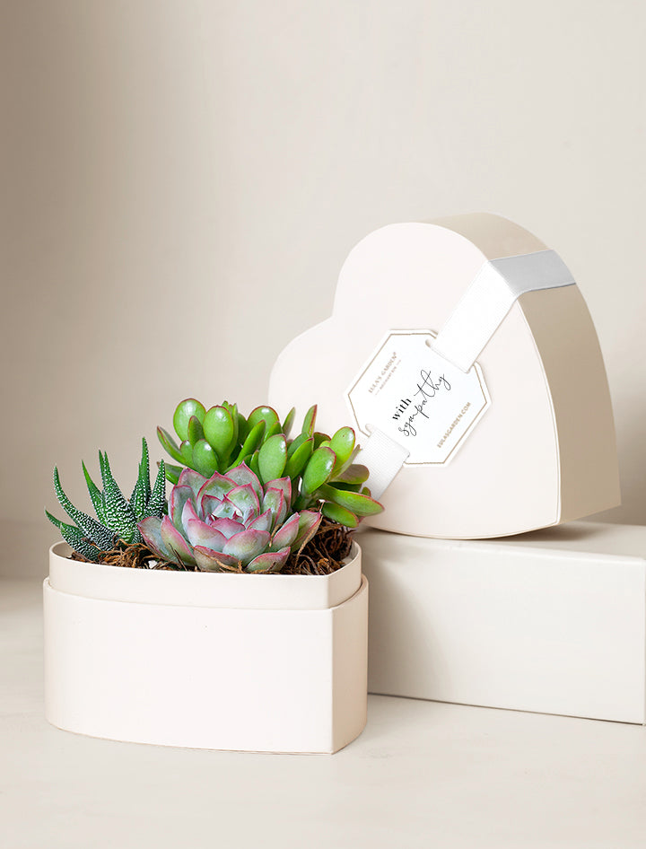 Small Heart Garden