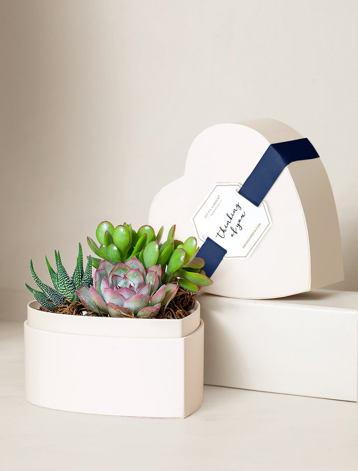 Small Heart Garden