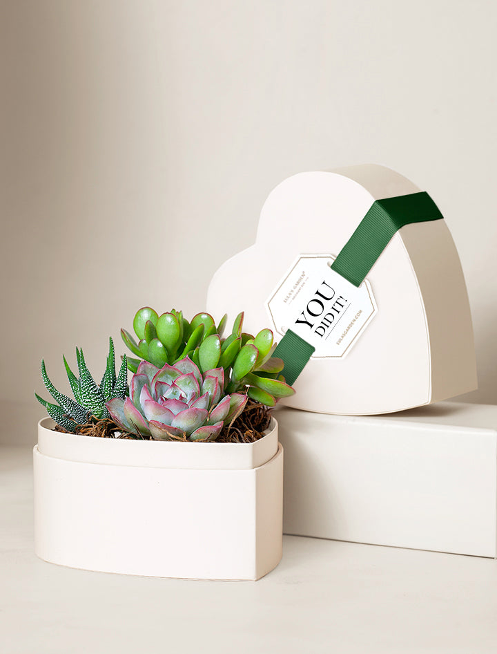 Small Heart Garden