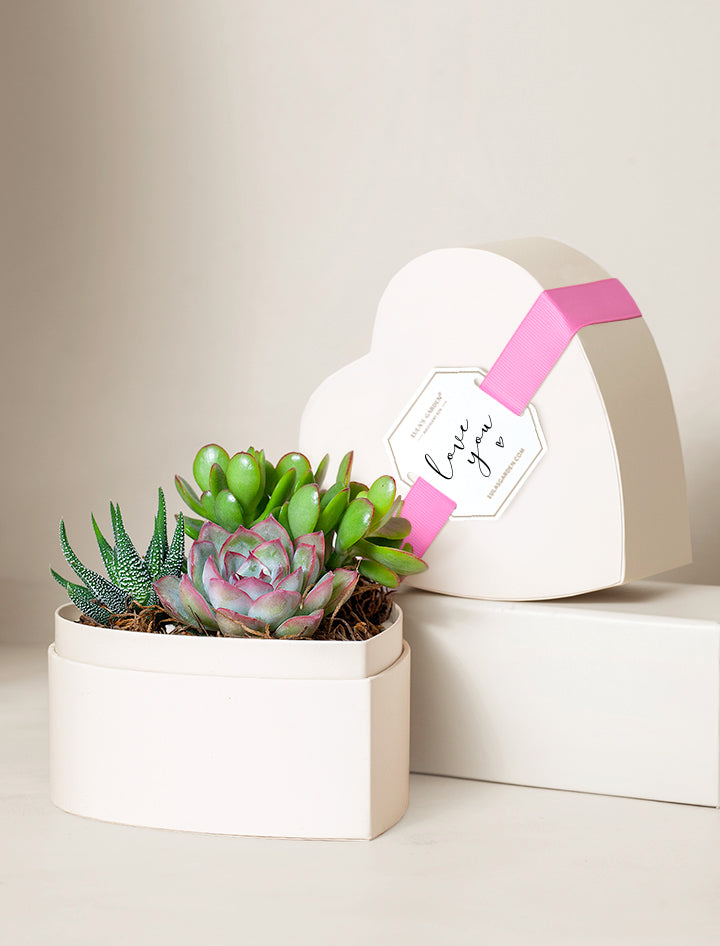 Small Heart Garden
