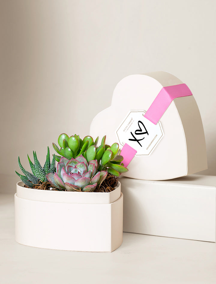 Small Heart Garden