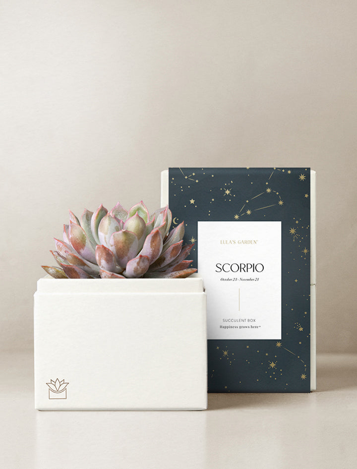 Scorpio Garden