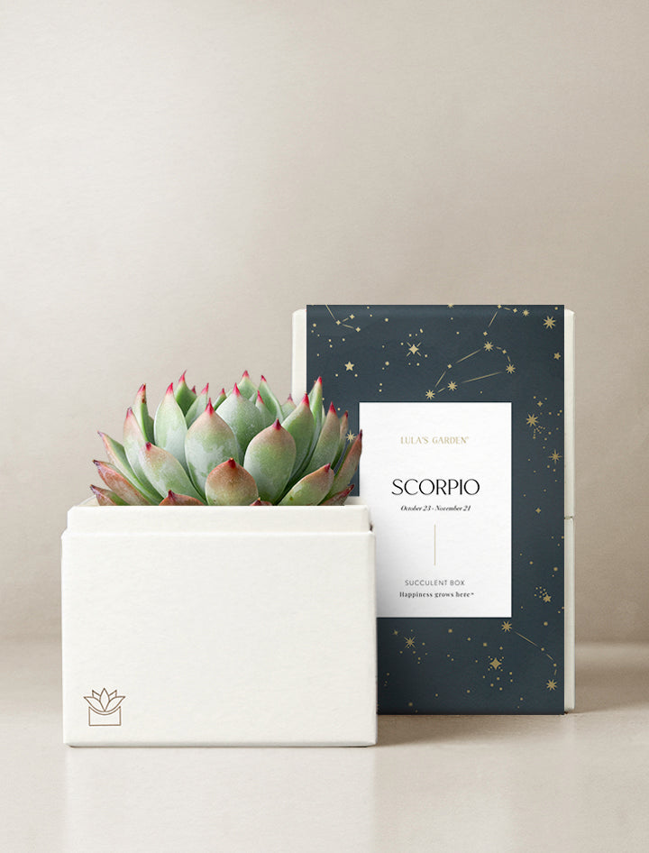Scorpio Garden