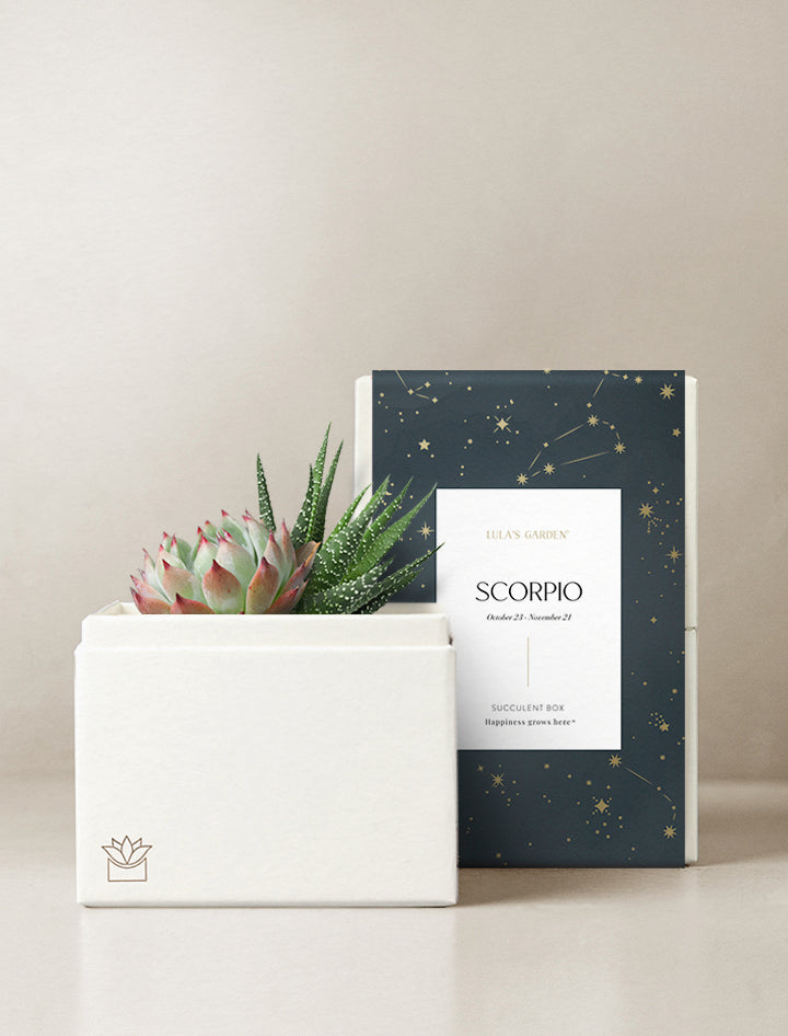 Scorpio Garden
