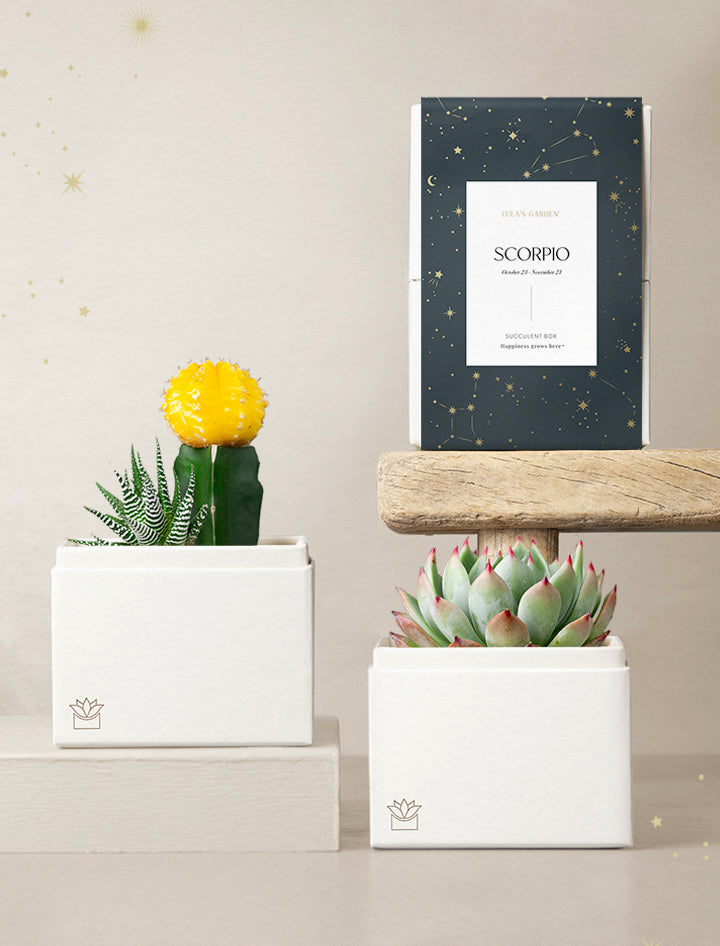 Scorpio Garden