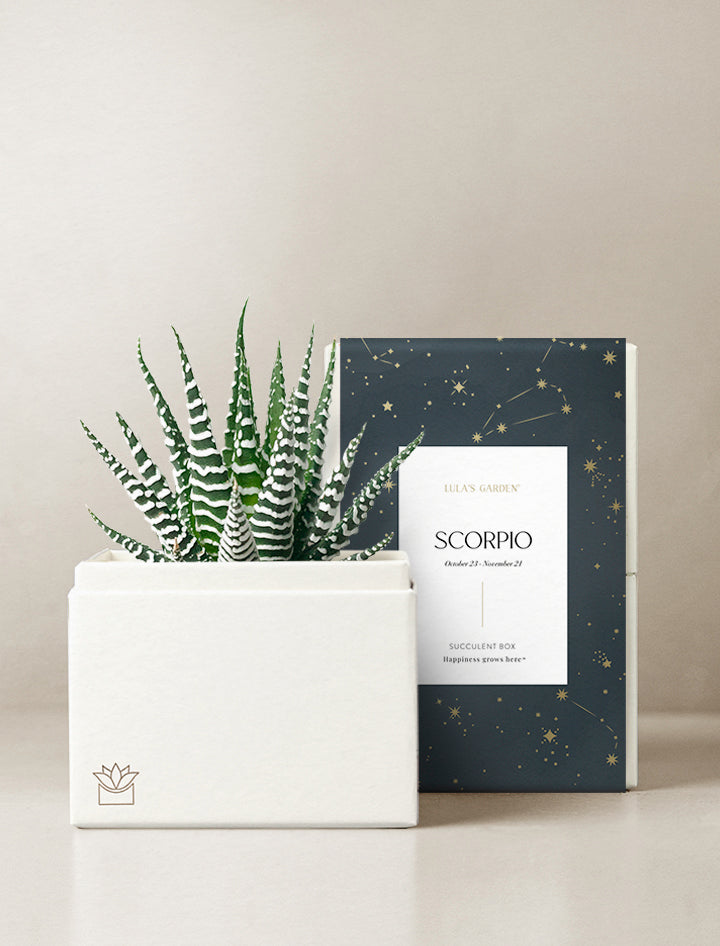 Scorpio Garden