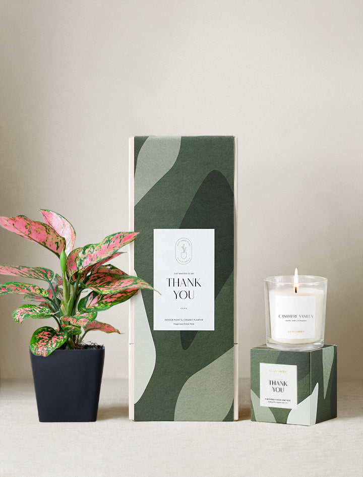 Thank You Plant Gift Set