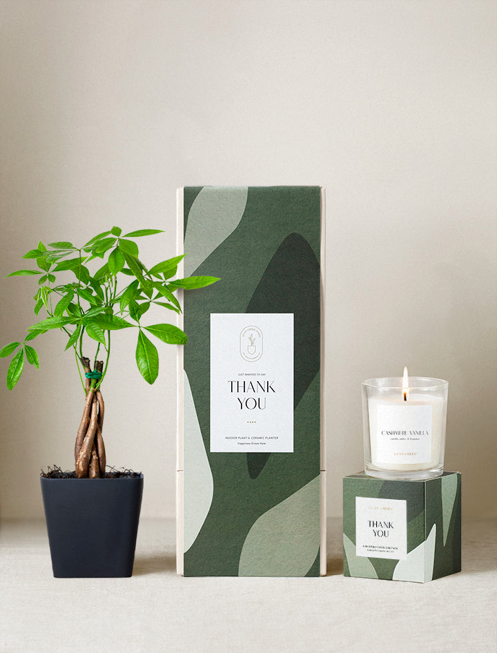 Thank You Plant Gift Set