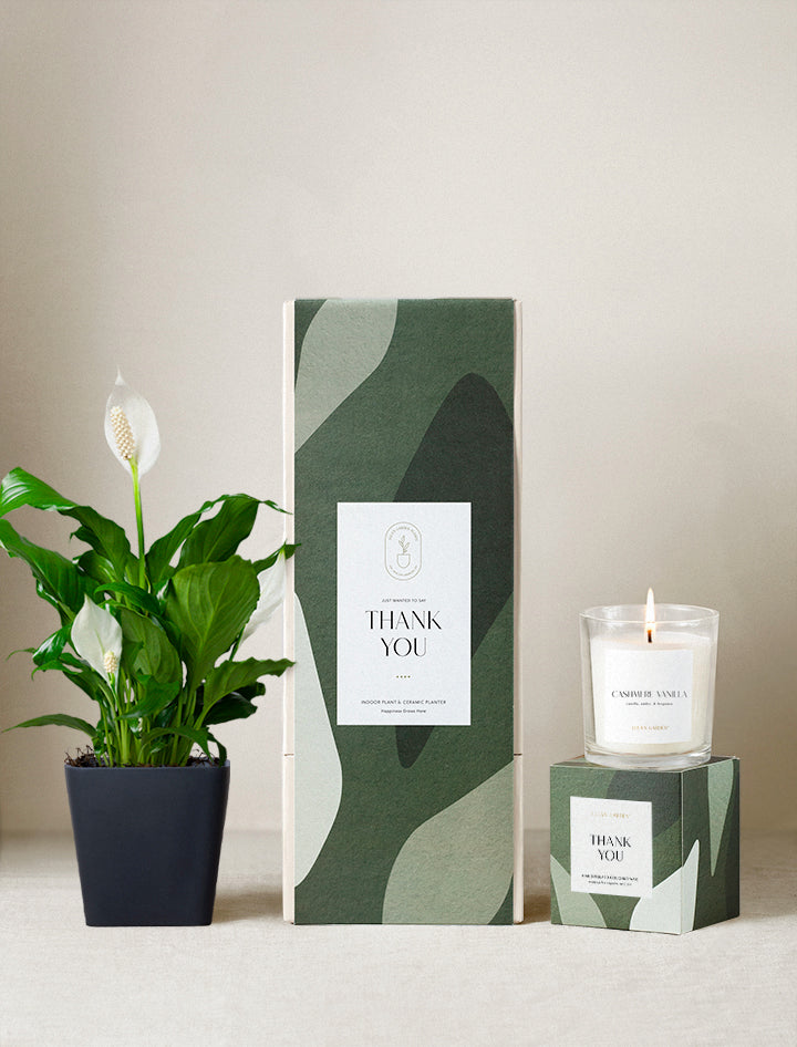 Thank You Plant Gift Set