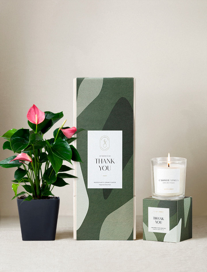 Thank You Plant Gift Set