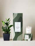 Thank You Plant Gift Set