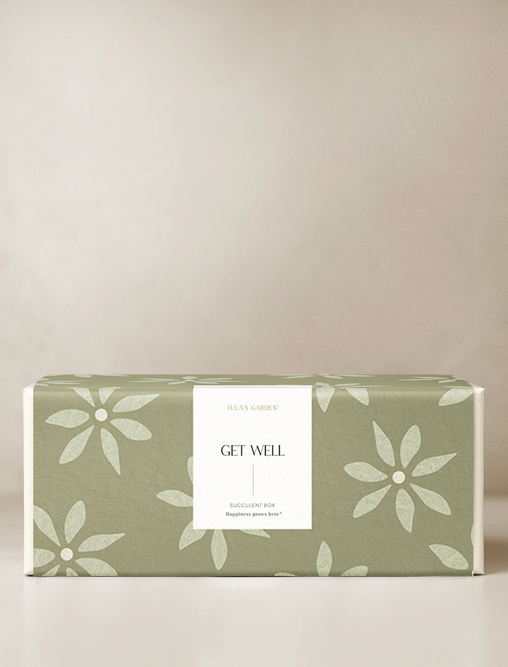 Get Well Verdant Garden